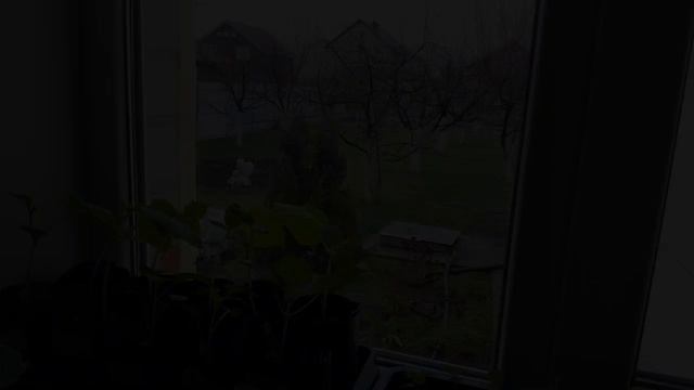 Немного поболела и опять в строю!