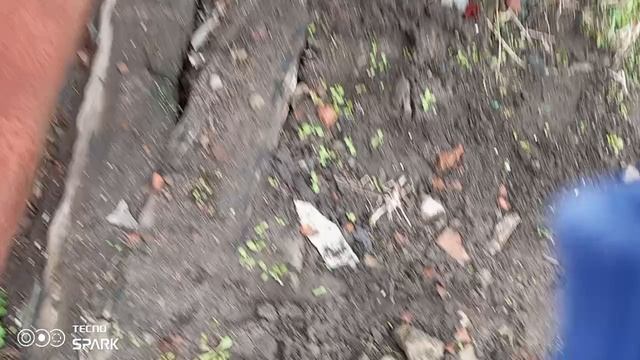 1000006976.mp4