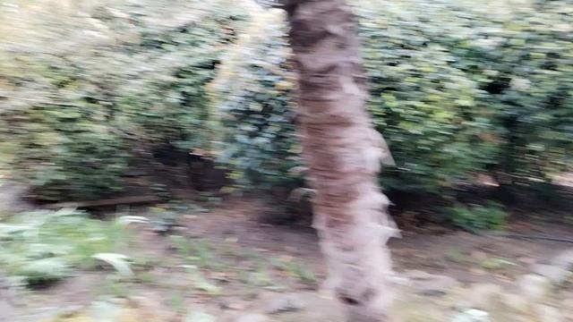 Ялта. Проогулка к морю.