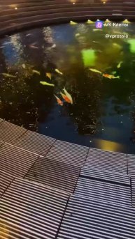 Парк Галицкого в Краснодаре!