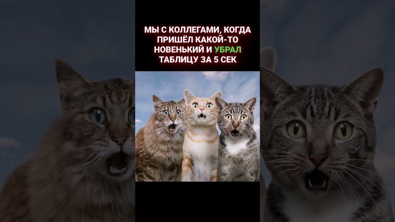 из таблицы в текст