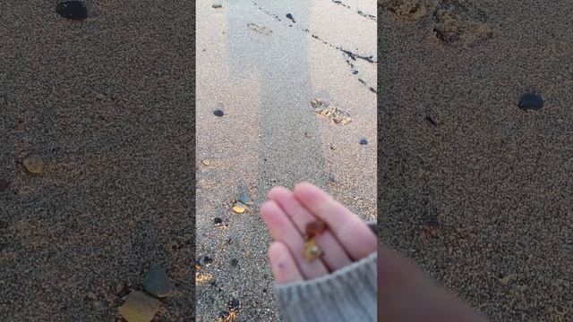 6 утра и весь янтарь мой😁

Утренний улов