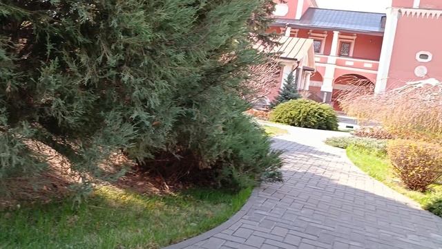 Апрельский сквер Нижняя Волга 2025 год