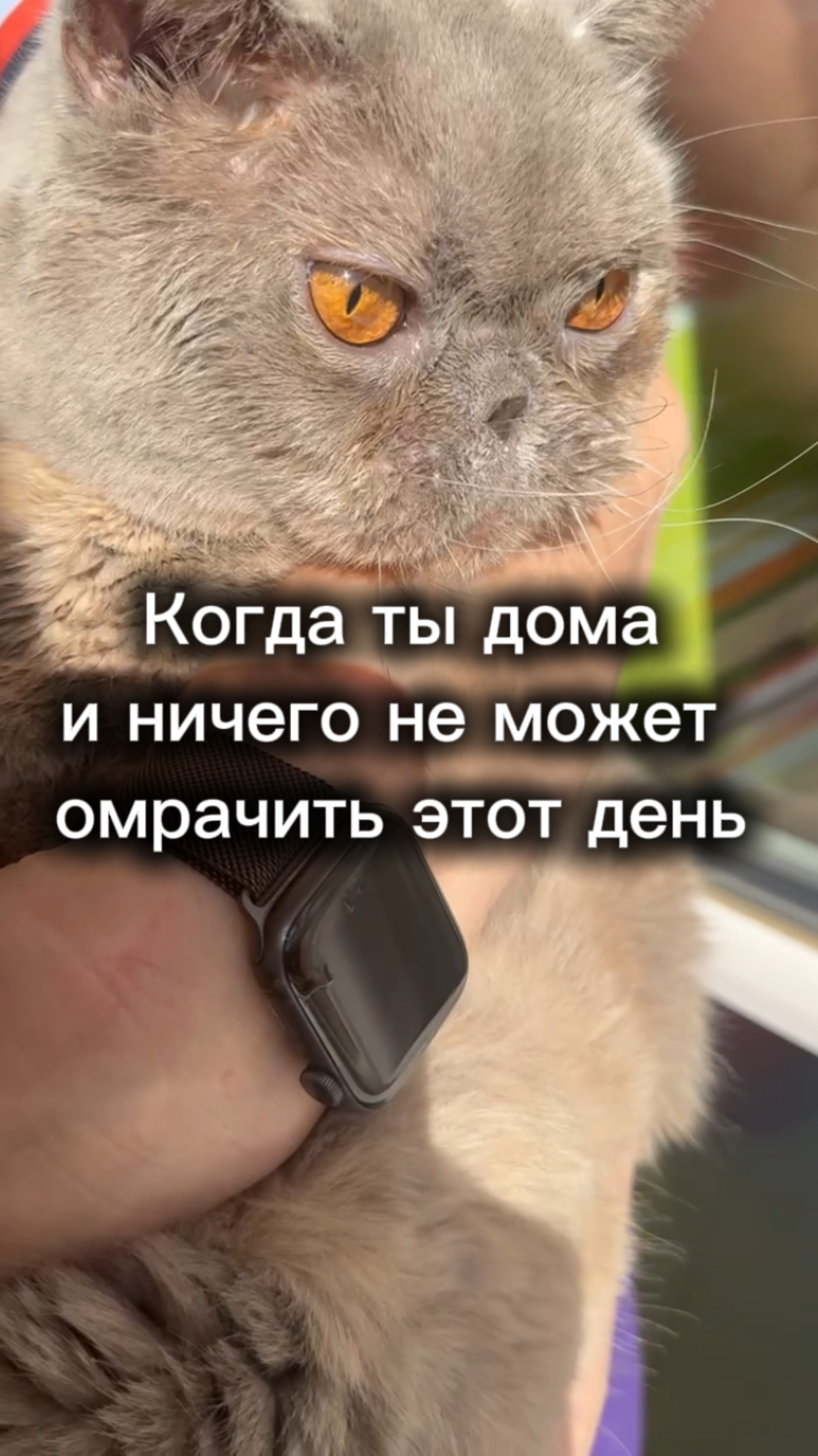 Я была бы очень хорошим учителем, если бы в классе не было детей😂