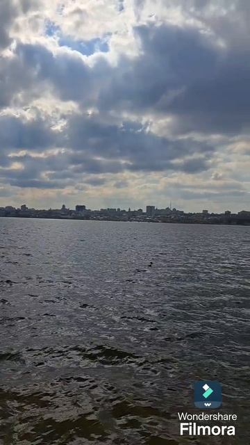 Воронеж#парк Дельфин#Воронежскре водохранилище#река Воронеж#