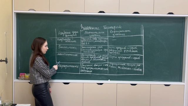 Образовательный видеоролик на тему: Микромир: незаметные организмы и их роль в экосистеме"