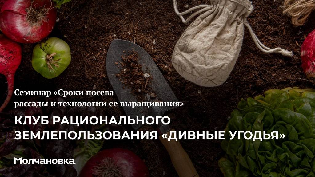 4 сезон 12 семинар. Сроки посева рассады и технологии ее выращивания