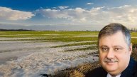 Дмитрий Евстафьев. Теперь ясно, зачем на самом деле ОН прилетал в Санкт-Петербург и Оман...