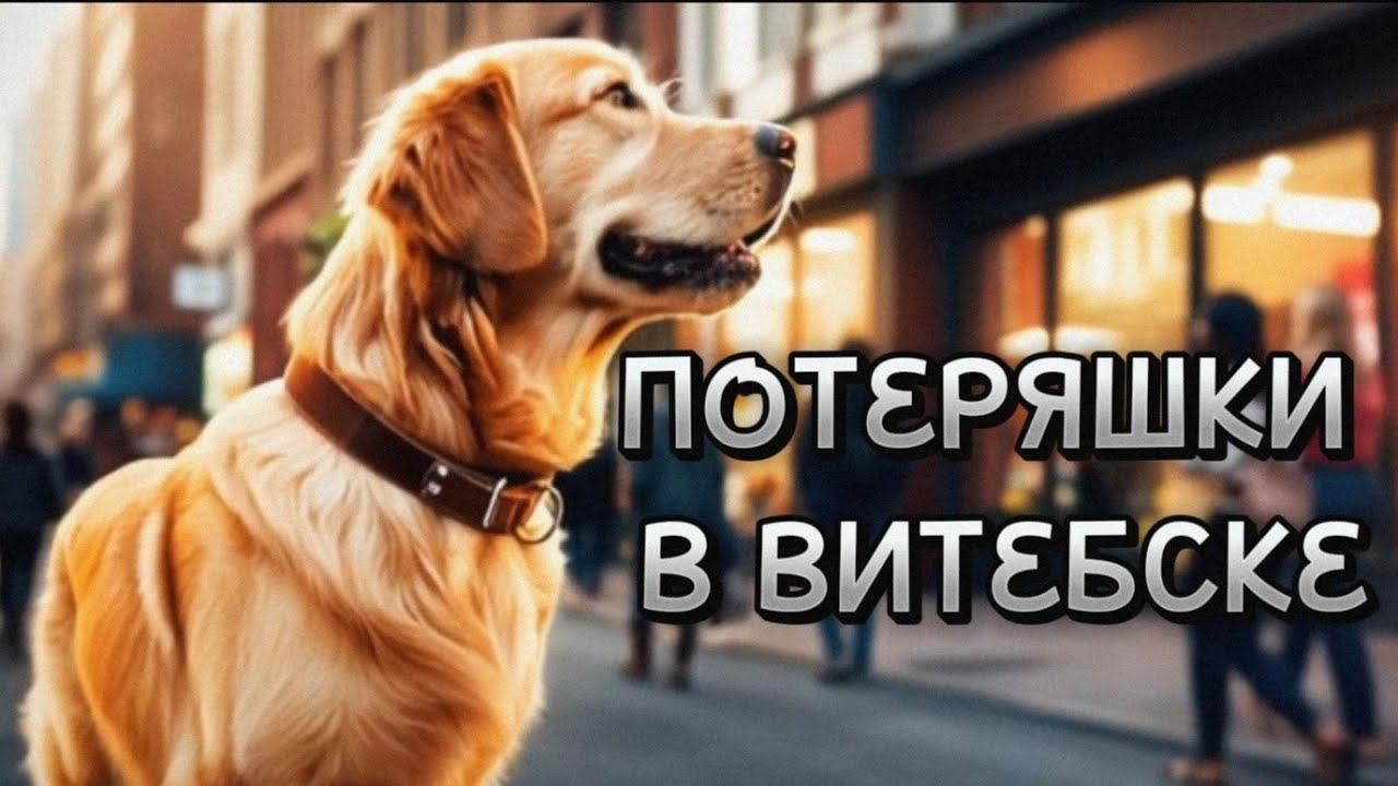 Хасан Бердыев-"Потеряшки в Витебске"