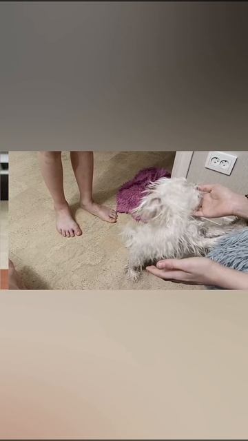 1000387318.mp4