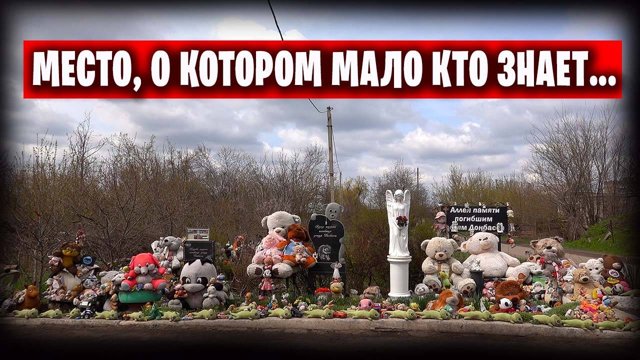 Сад и огород / Моя теплица / Распаковка покупок Эльвиры / Поездка в госпиталь