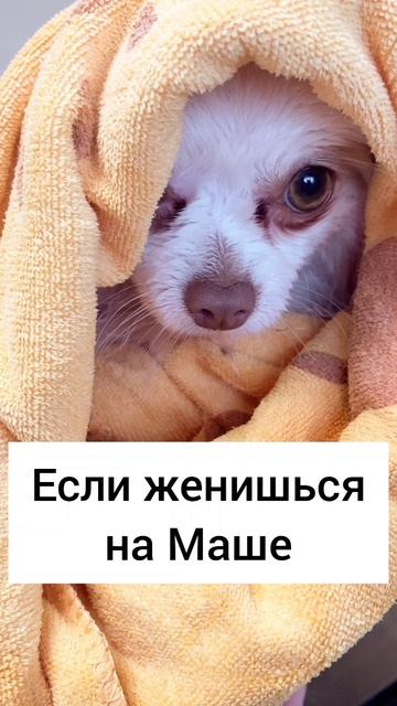 Если женишься на Юле... Гадалка Ася всю правду поведает