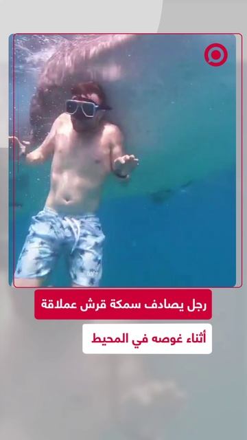 مغامرة غوص تنتهي بلحظة رعب غير متوقعة