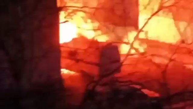 22-летний студент сжег 4 полицейских авто в Архангельске