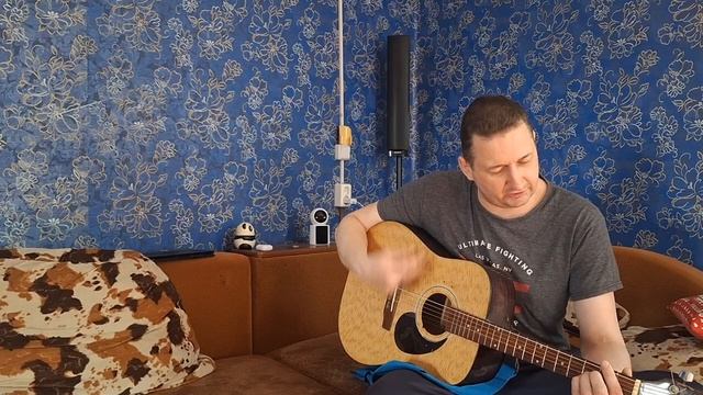 Петлюра-Скорый проезд (кавер)