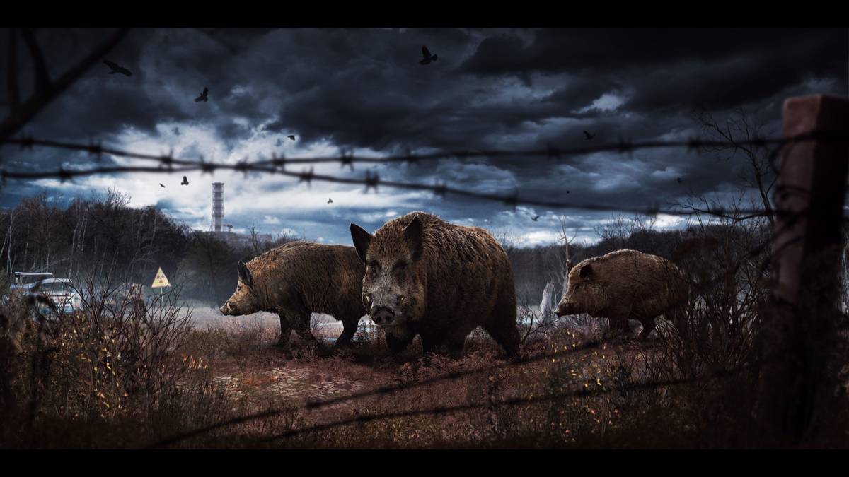 ИГРАЕМ В ДЭЙЗ НА ЧЕРНО 💥 НИКАКИХ ВЫХОДНЫХ ОХОТА ПРОДОЛЖАЕТСЯ #dayz