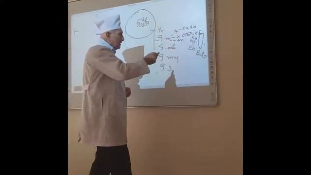 Qizilongachning gistologik tuzililishi - Hazm qilish organlari gistologiyasi