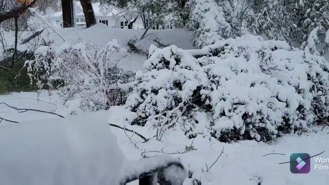 First snow of the year 2022 by Celine Elliott