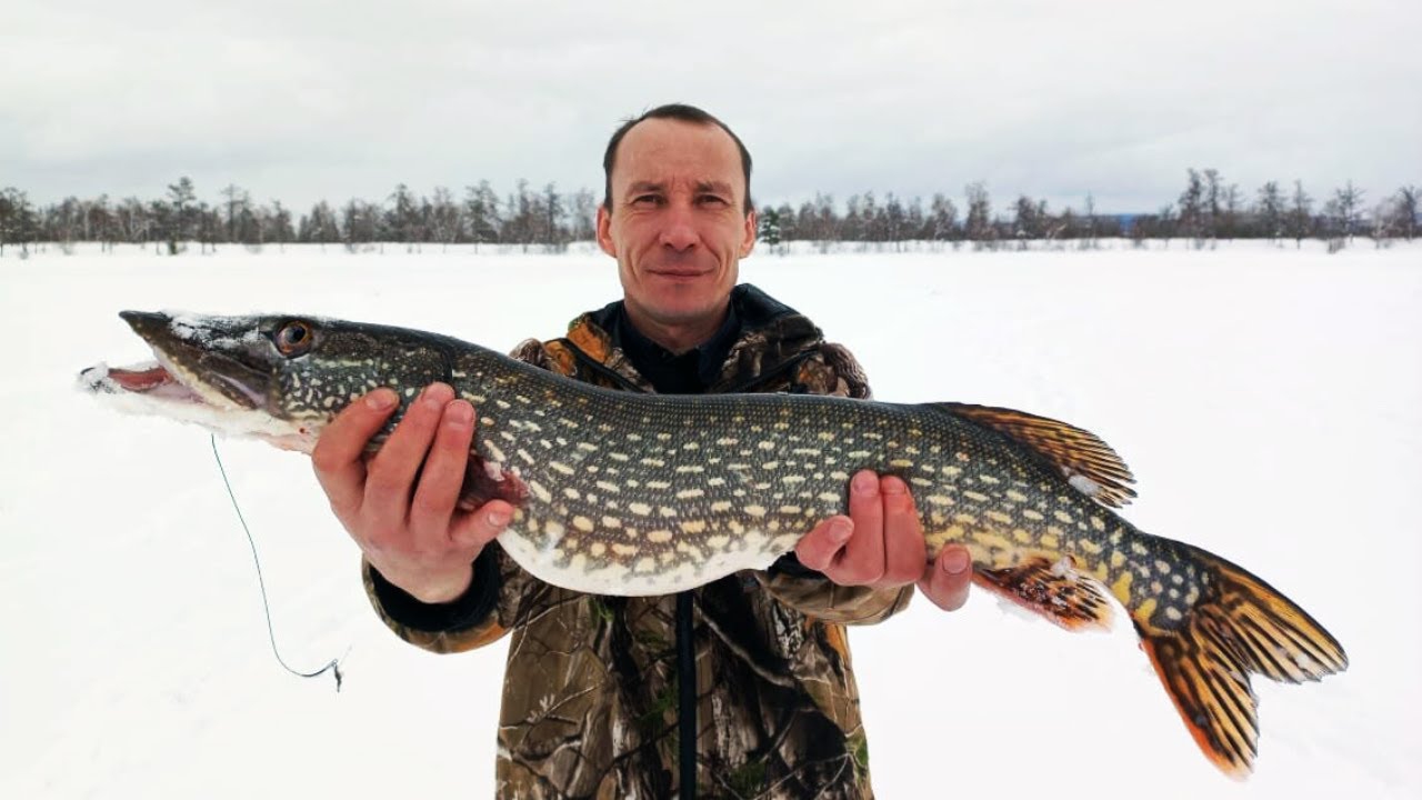 Рыбалка в апреле на озере Шакша. Забайкальский край.