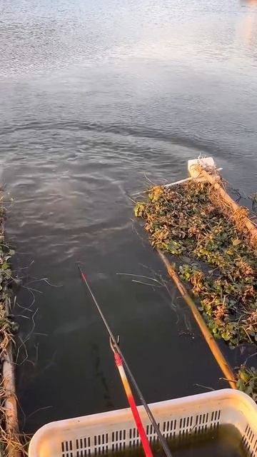 Вся суть рыбалки