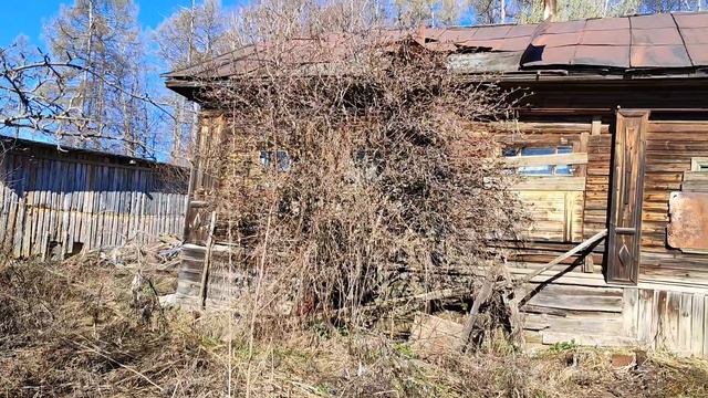 17 лет в тени. Заброшенный дом и участок, захваченные природой. Обзор купленного участка. Апр, 2024г