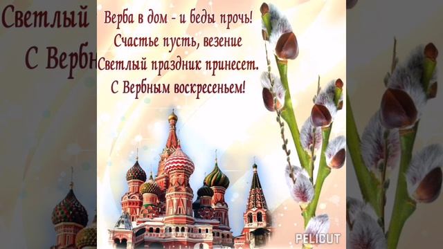 С Вербным Воскресеньем🌿🌾🌿