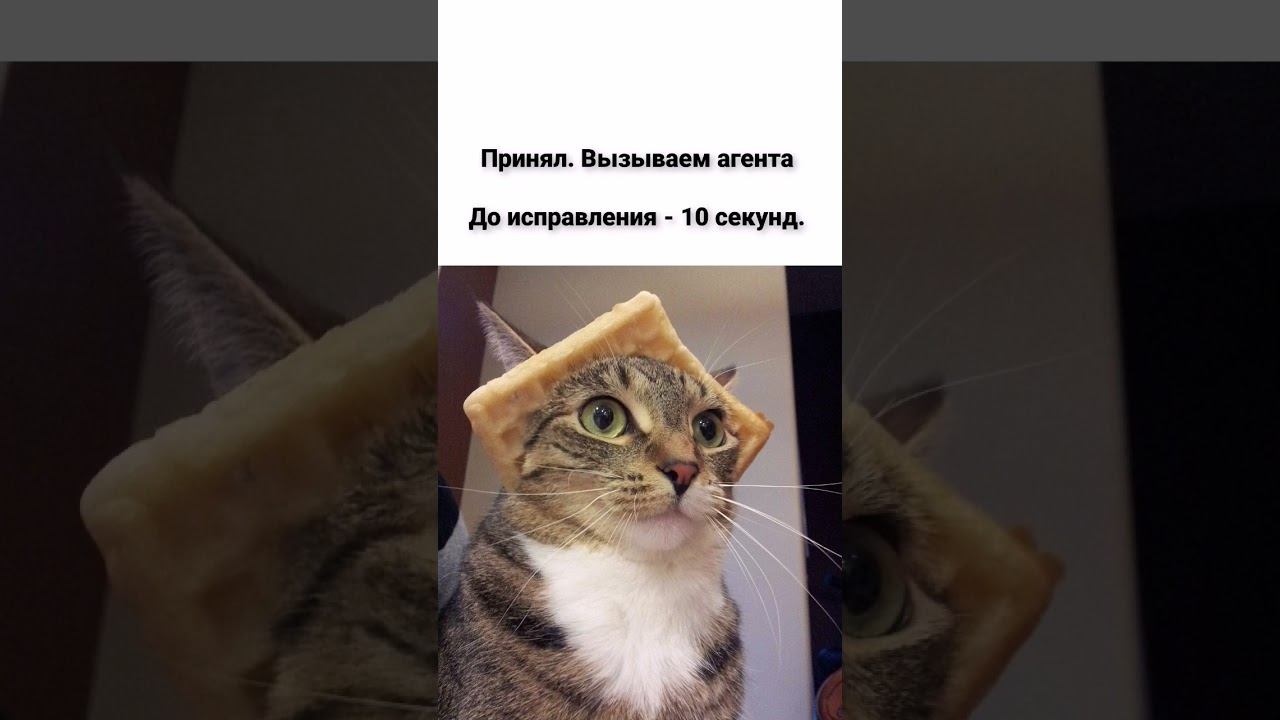 точка или запятая? #excel #shortvideo #top #рекомендации #эксель