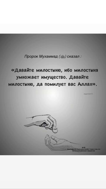 VID_20250413_143017_549.mp4.mov