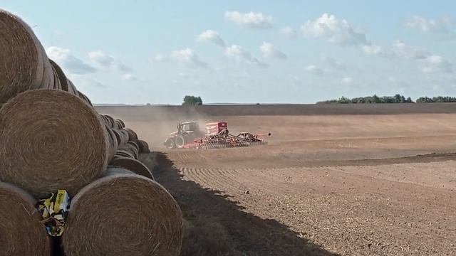 Влог(103)Идёт сев рапса.