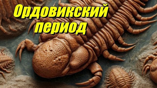 Ордовикский период