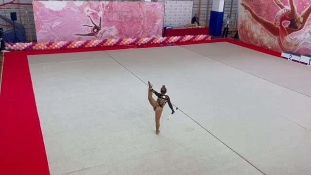 Зыкова Валерия, 2015, Стремление к совершенству, 12.04.2025, Булавы