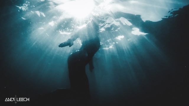 Between The Shadows Of The Tide