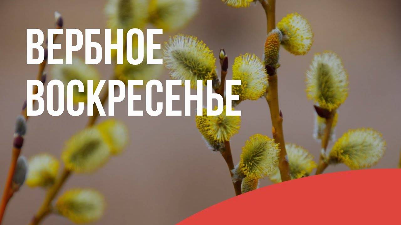 Праздник "Вход Господень в Иерусалим" (Вербное воскресенье) ЦБЦ 13.04.25