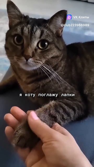 деньги