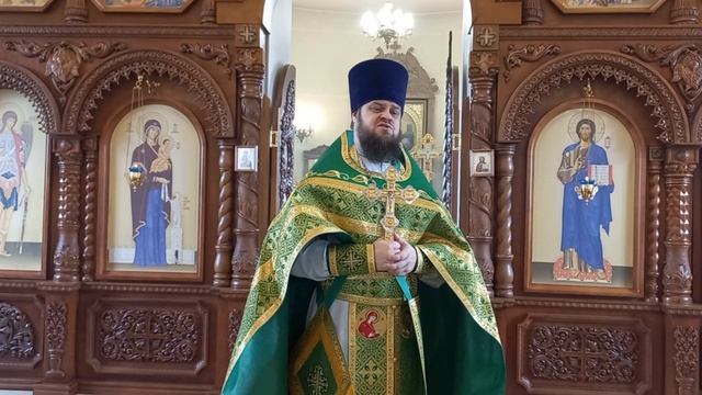 Иерей Павел Курганов. В Вербное Воскресенье