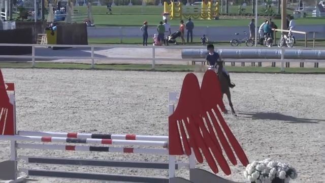 SWEET NIMMERDOR - Marta Lorente Gras - Bronze 1 - 1,15m - Valencia (26.10.2014)