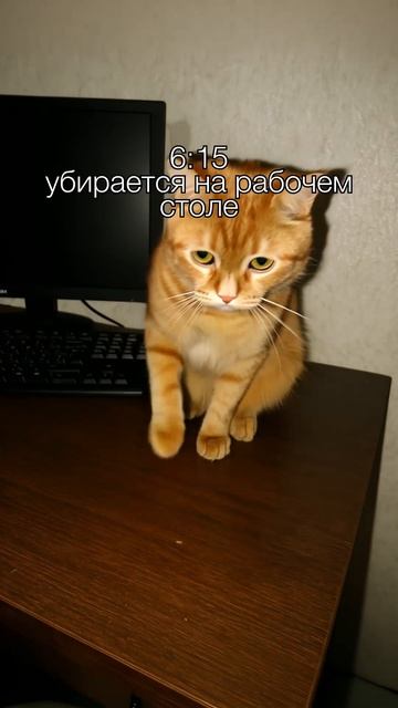 Юмор