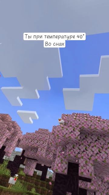 ты во снах при температуре 40°#andreypleyжизньблогера #minecraft