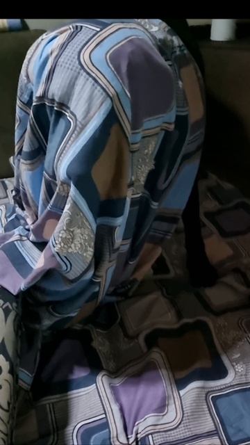 Пёс  приведение