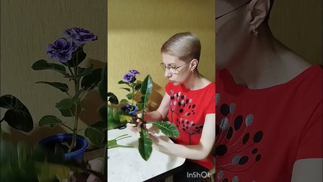 1000004670.mp4