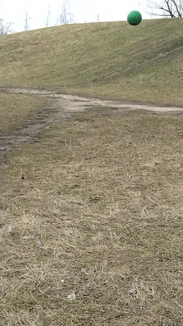 VID_20250406_134110.mp4