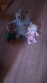 К нам пришли гости!!! 🤩