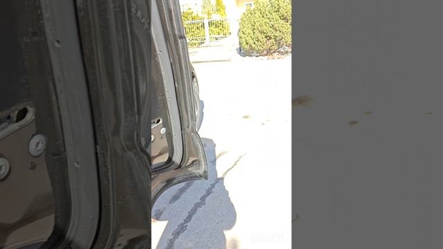 1000012173.mp4