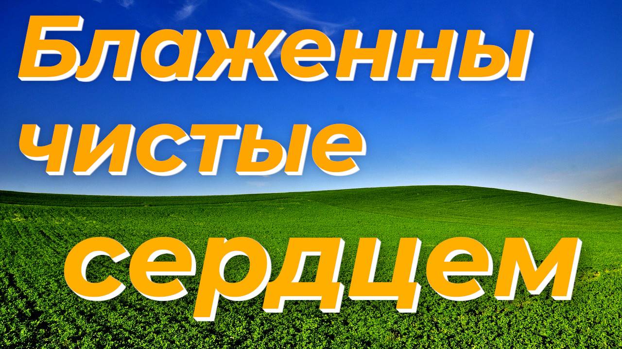 Блаженны чистые сердцем - Василий Савич. Христианские проповеди