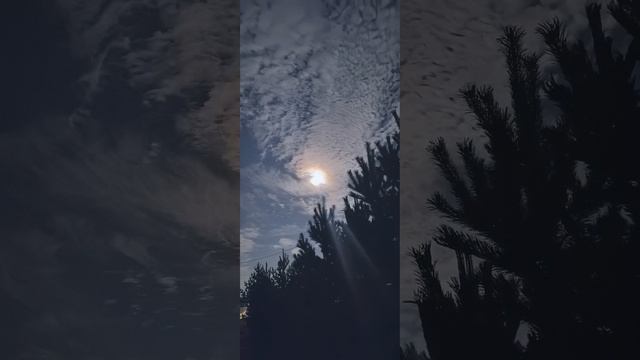 Луна.mp4