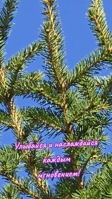 Улыбайся