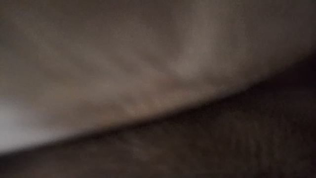 мистер хомяк 🐹