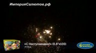 Р 7354 С Наступающим (0,8х100 залпов). www.isalutov.ru тел.: (423) 292-43-53