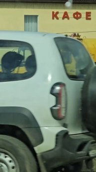 Зил ассенизатор