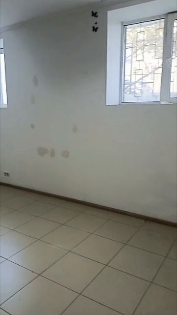 VID_20250412_151338